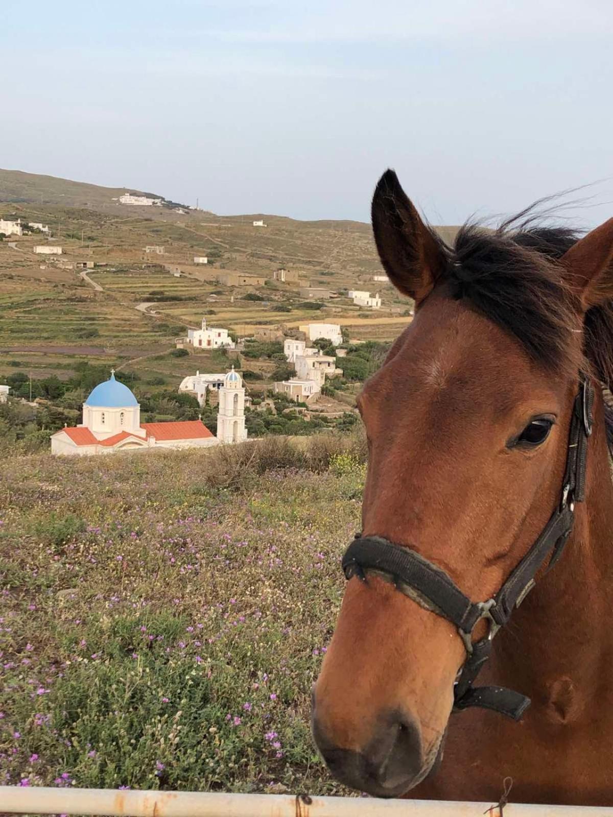 Afrodite Hotel Tínos Kültér fotó