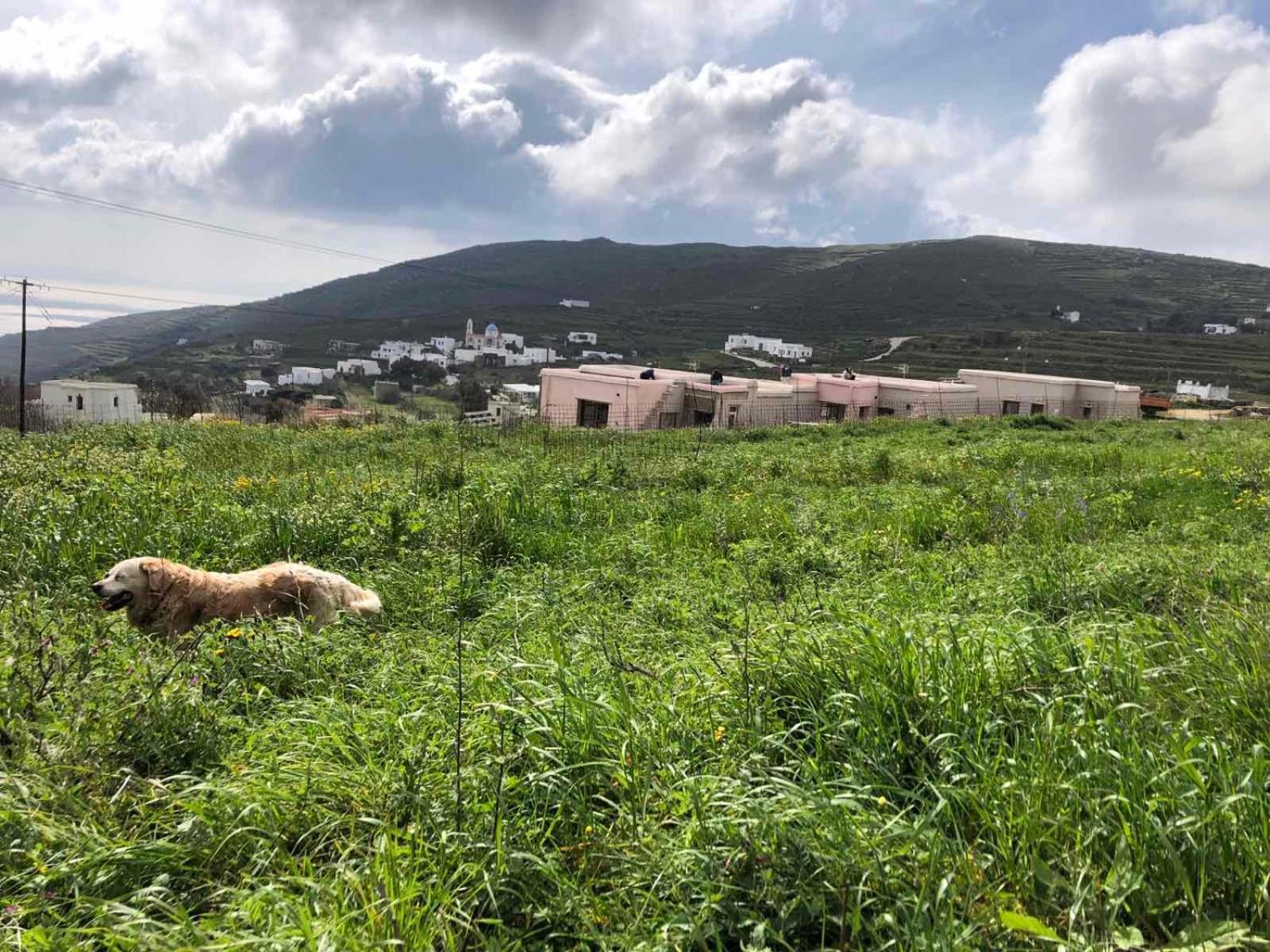 Afrodite Hotel Tínos Kültér fotó